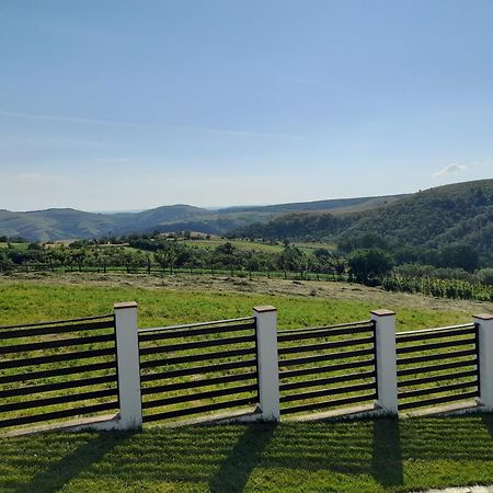 Vila Aloman Sebeş Exteriör bild