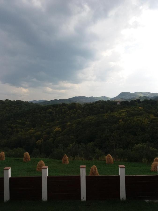 Vila Aloman Sebeş Exteriör bild
