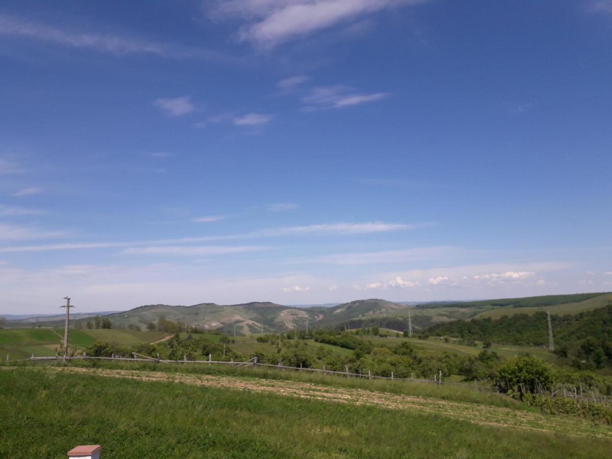Vila Aloman Sebeş Exteriör bild