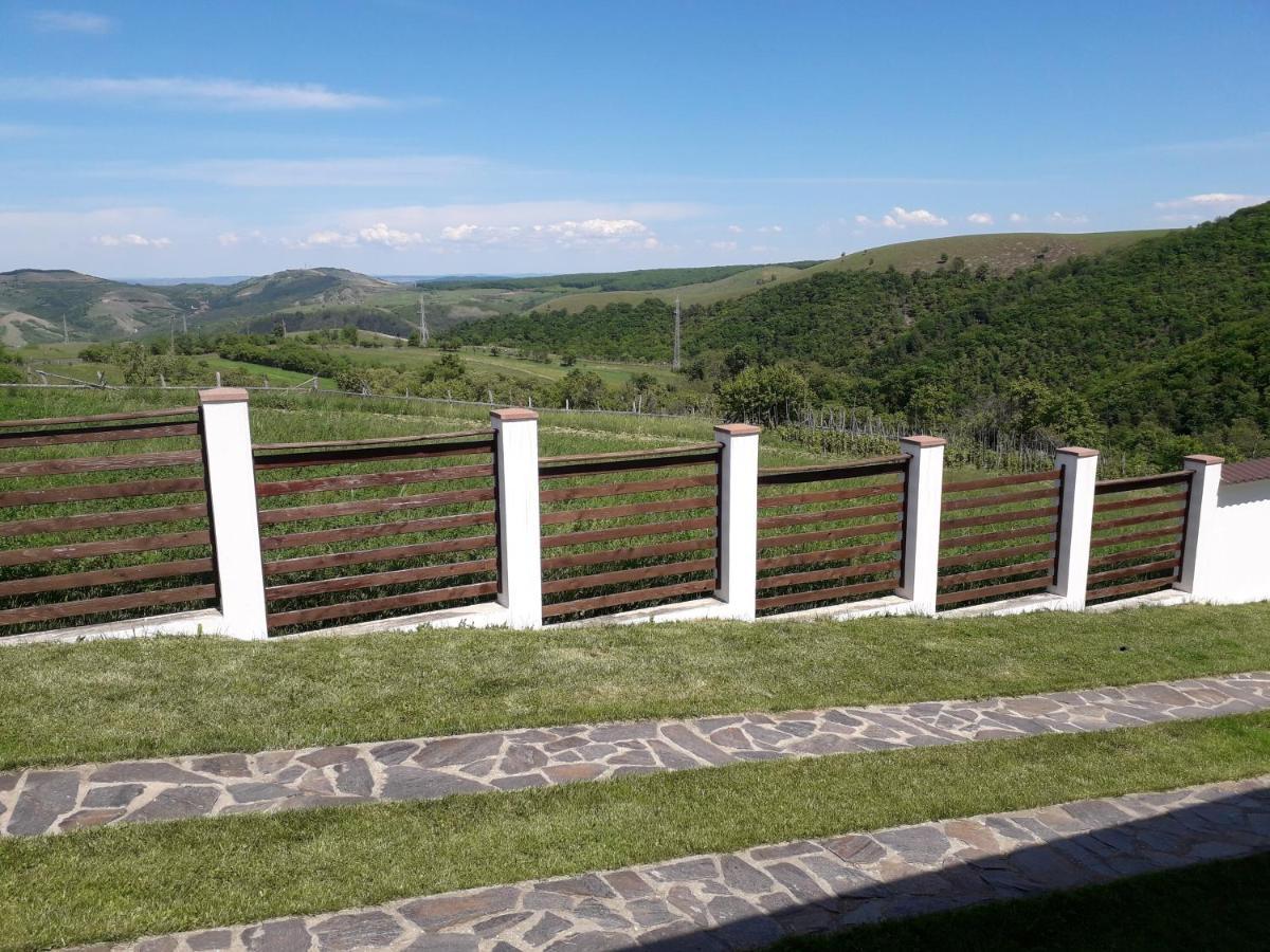 Vila Aloman Sebeş Exteriör bild