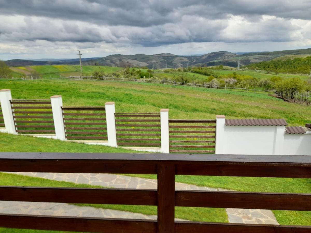 Vila Aloman Sebeş Exteriör bild